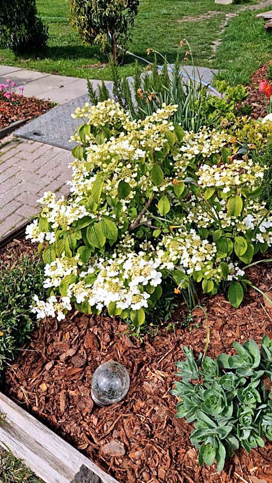 Bed & Breakfast Donna