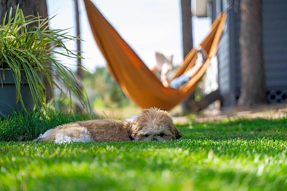 Domki Albertówka - Strefa Relaksu