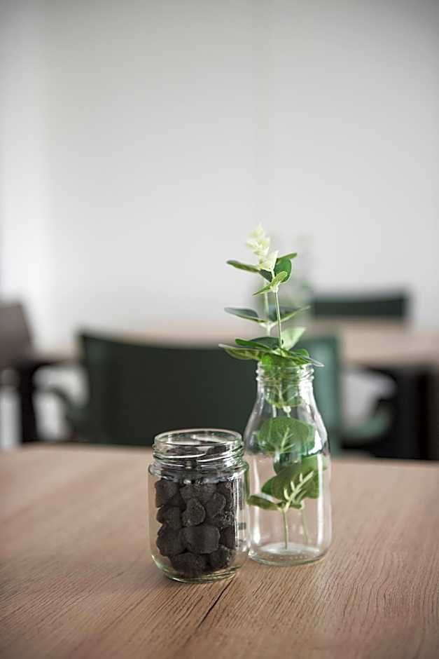 Volcanic Charming House