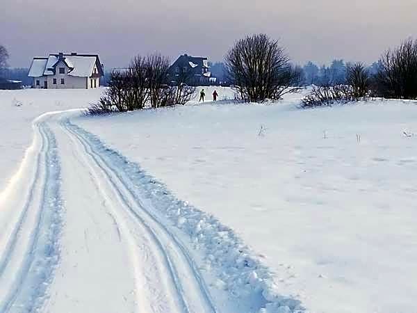 Domki nad jeziorem czorsztyńskim