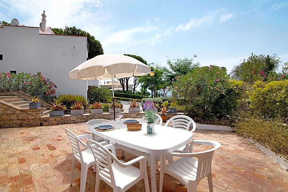 Casa Harlequin