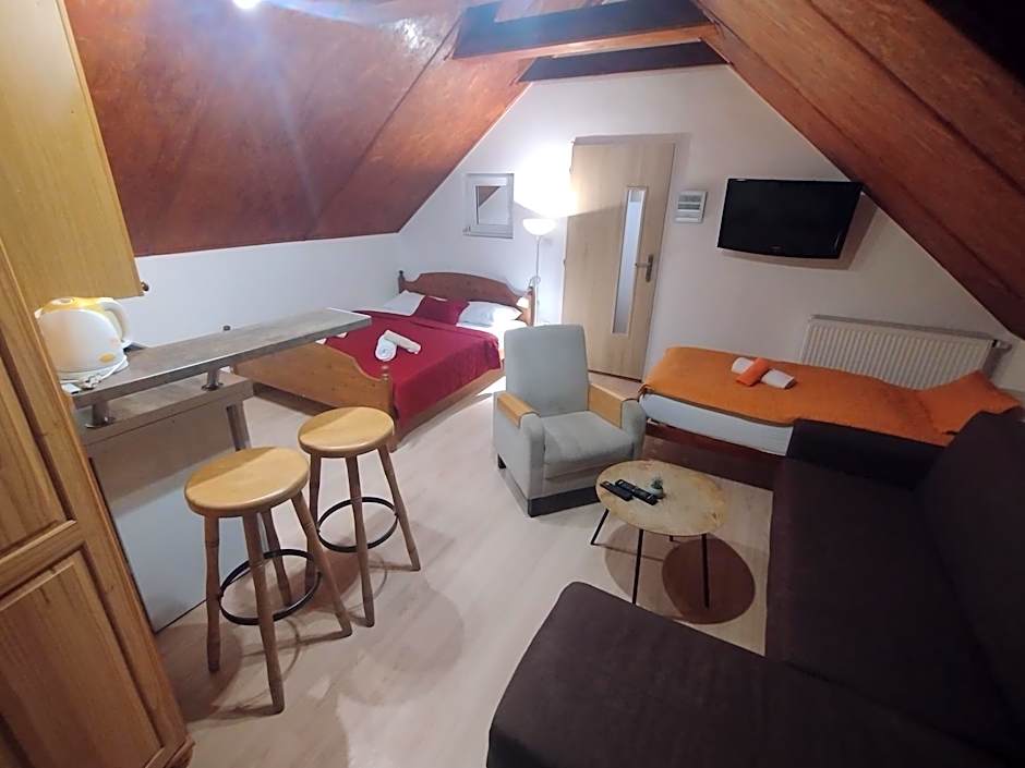 Spa & Pool Apartments Prestige VILLA IVICA