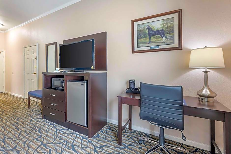 Best Western Spring Hill Inn & Suites