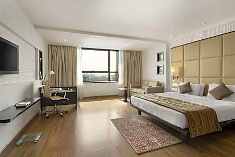Elite 1 King Bed Non-Smoking Room