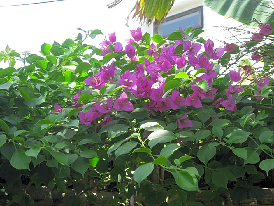 Local Beach Homestay