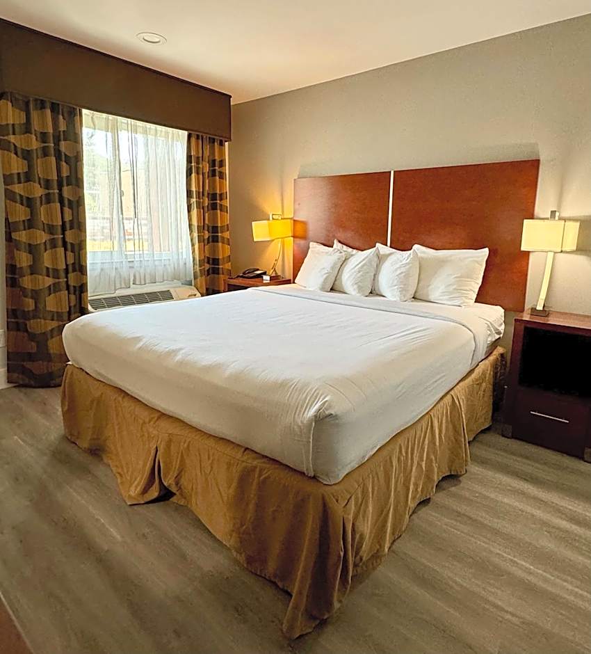 Zdjęcie 1 z 4 — Deluxe King Room - Non-Smoking