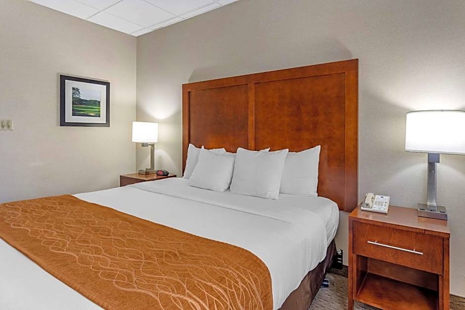 Comfort Inn Syosset-Long Island