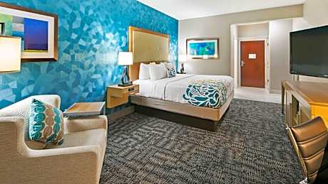 Roll Shower Suite-1 King Bed