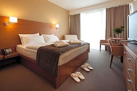Special Offer - Deluxe Double or Twin Room  with Balcony and Ski & Spa Package