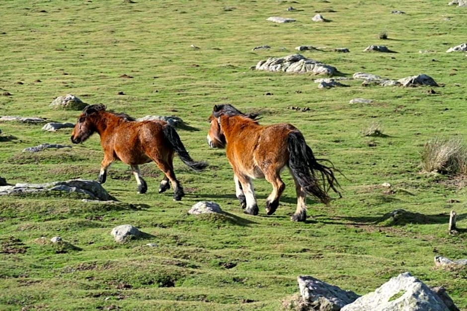 Eyhera Perkain
