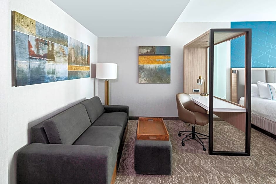 SpringHill Suites by Marriott Greenville Downtown