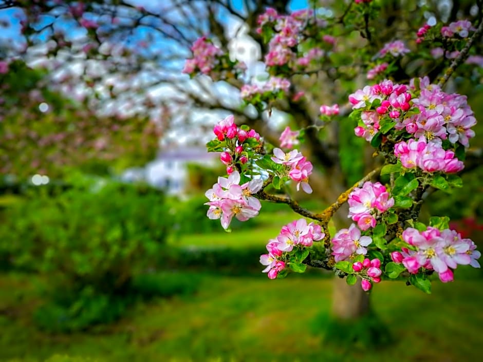 Cedar House Boutique B&B