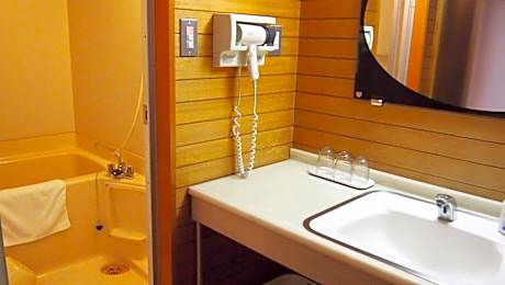 Twin Room with Tatami Area