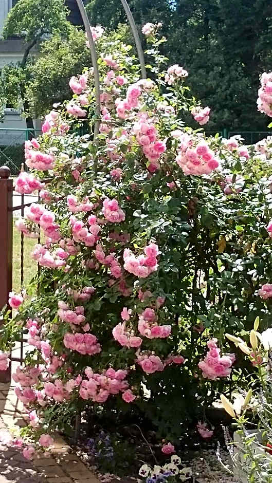 Letnia willa Jacuzzi & Sauna