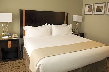 Standard King Room with Mobility Accessible Tub