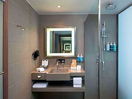 Premier Twin Room with Park View