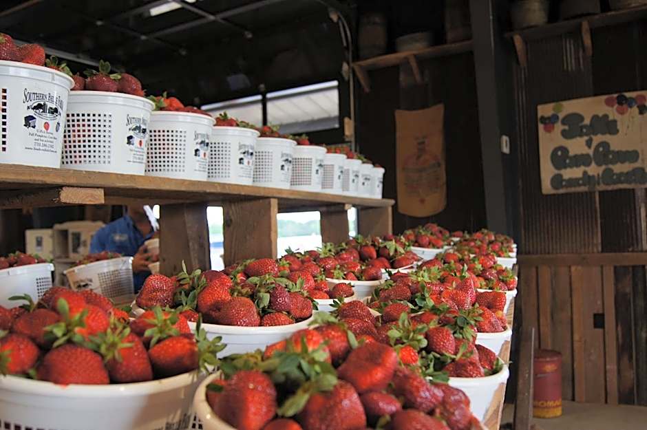 Candlewood Suites McDonough By IHG