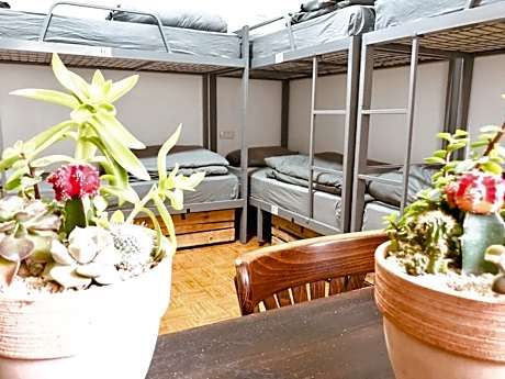 Bed in 8-Bed Dormitory Room