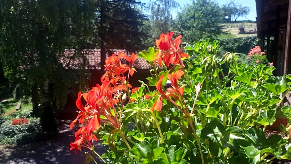 La Collina dei Passeri