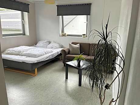 Double Room with Shared Bathroom