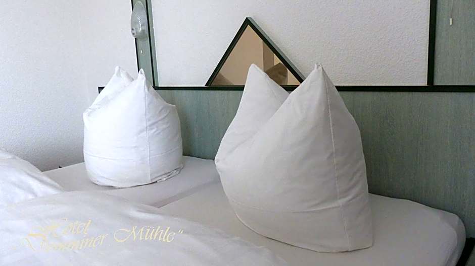 Hotel Demminer Mühle