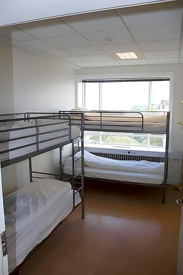 Baron's Hostel