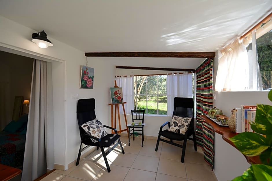 Le cabanon de l'olivette