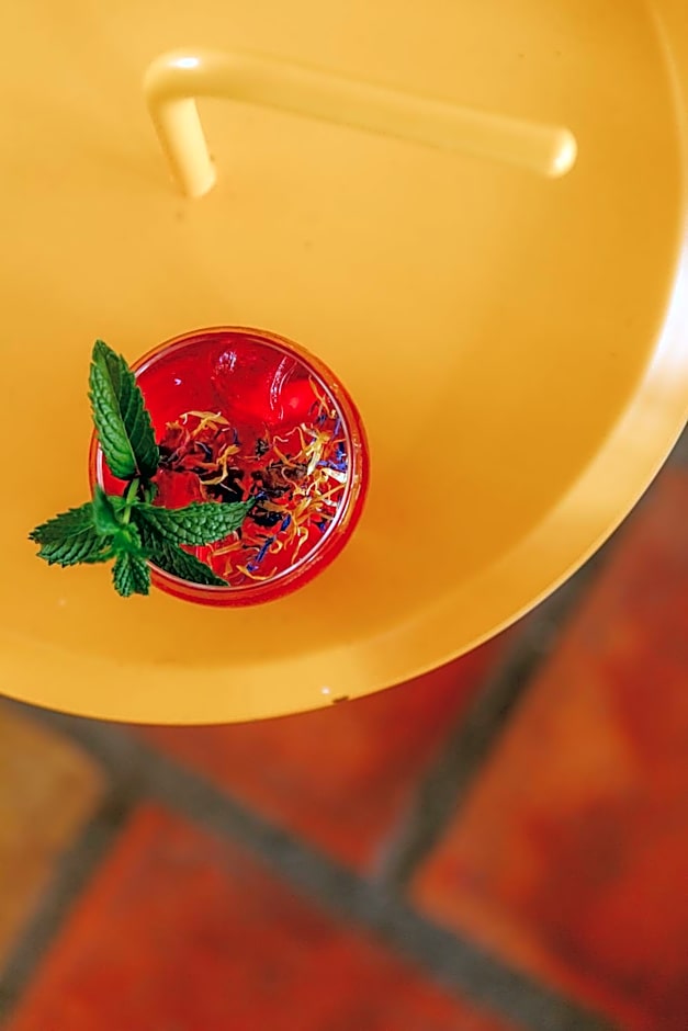 Oustau Camarguen Hôtel & Spa