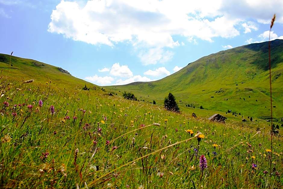 Alpen Gasthof Apartments Hohe Burg