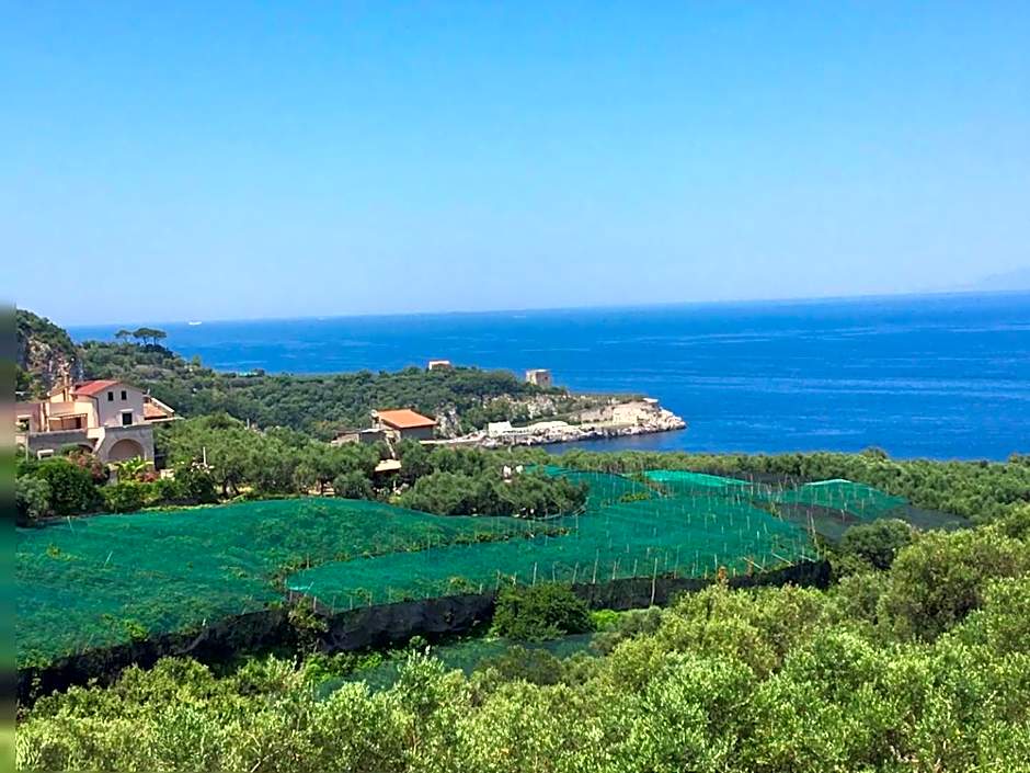 Hotel Dania