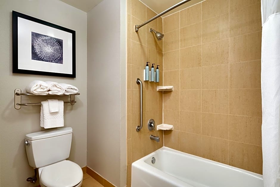Residence Inn by Marriott Houston I-10 West/Park Row