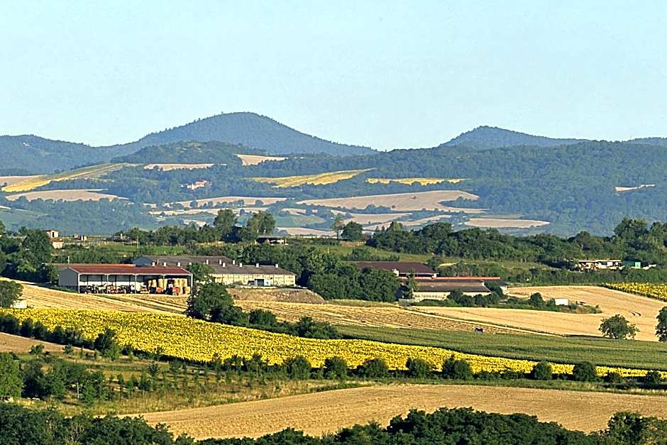 VVF Montpeyroux Auvergne