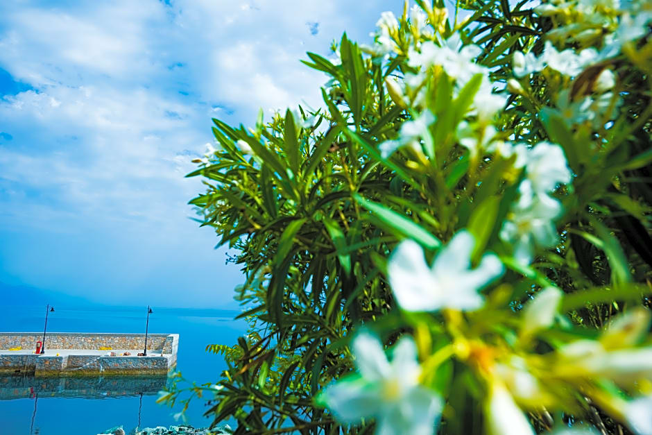 Miradouro Seafront Residences