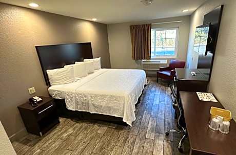 Standard King Room Disability Access Roll-ln Shower Smoke Free