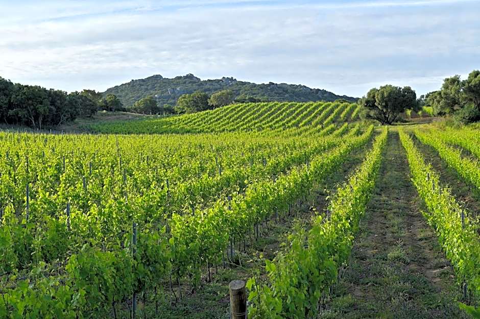 Domaine de Peretti della Rocca