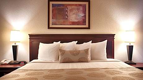 King Room with Walk-in Shower - Mobility Accessible/Non-Smoking