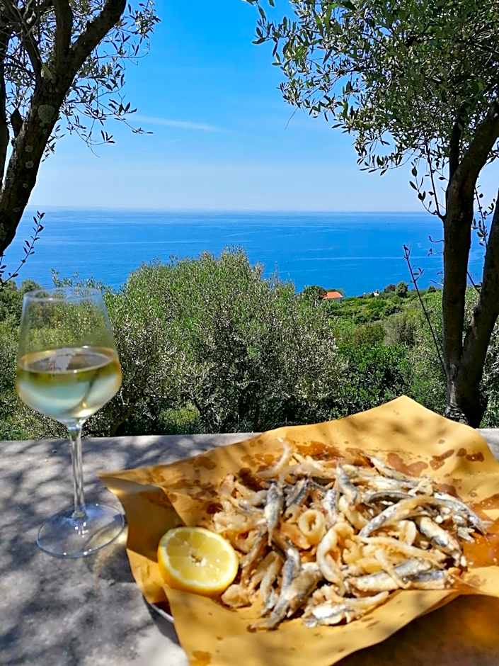 Perla del Levante Hostel