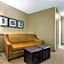Comfort Suites Mount Vernon