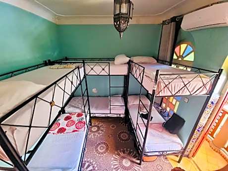 Bunk Bed in Mixed Dormitory Room