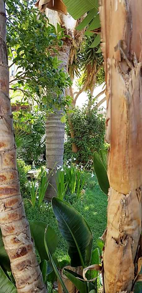 Mariposa Bed & Breakfast – San Vito Lo Capo, CA