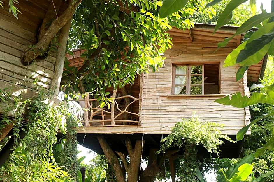 Roots Tree House