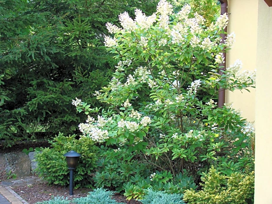 Domek pod Lasem na Mazurach