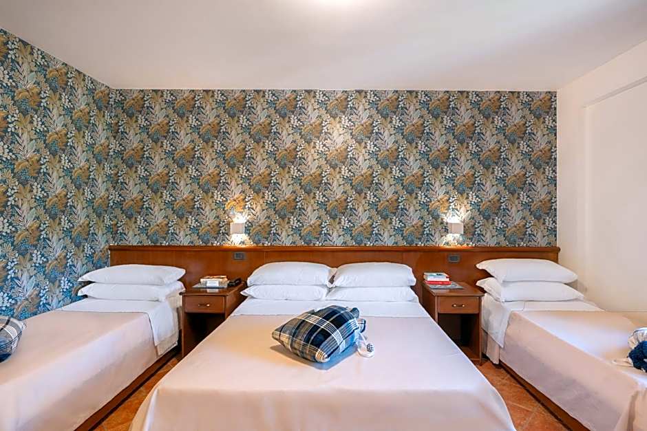 Hotel Rasinus