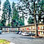 Shasta Inn