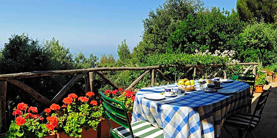 B&B Al Cavalluccio Marino