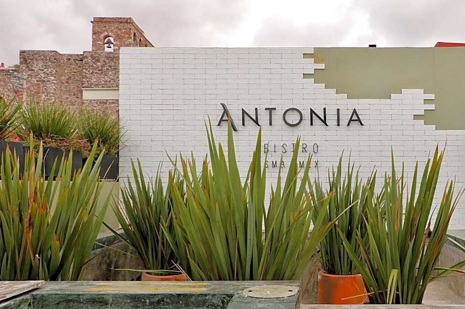 Hotel Boutique El Palomar