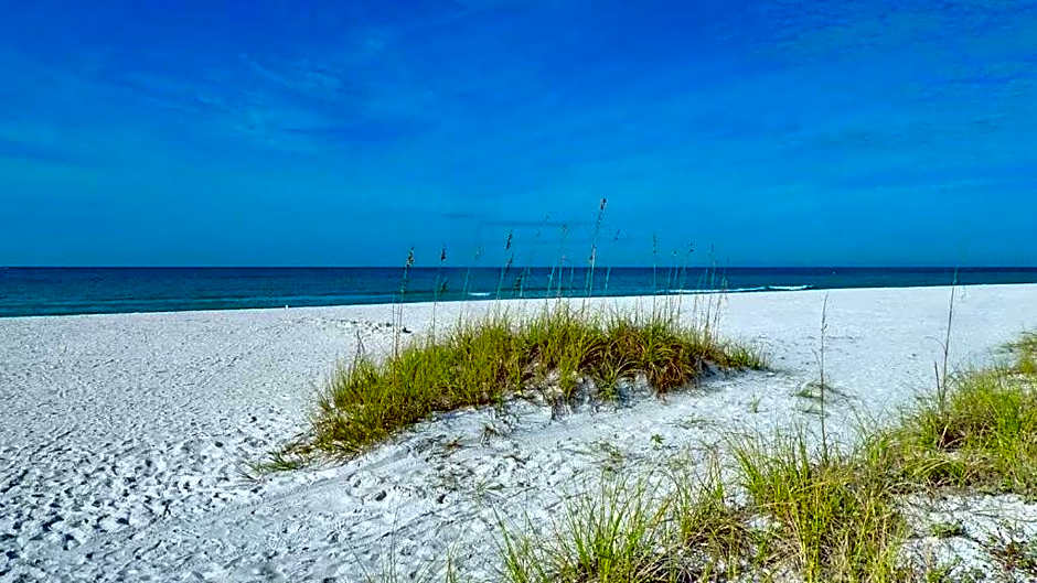 Beach Palms- Unit 102