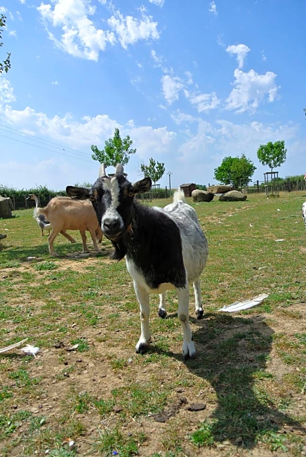 Chez Michel et Josette
