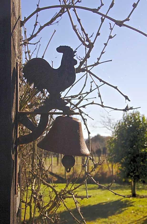 Ruapehu Country Lodge
