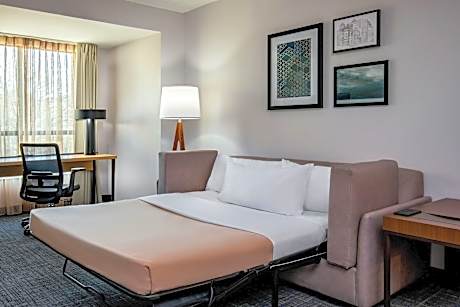 Studio, 1 King Bed with Sofa bed (1 King Bed and 1 Double Sofa Bed)